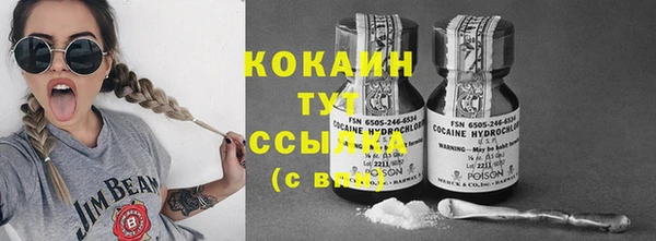прущие грибы Каменногорск