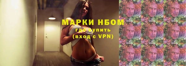 прущие грибы Каменногорск