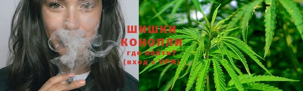 прущий лед Каменка