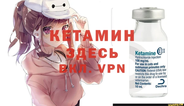 сатива Кинешма