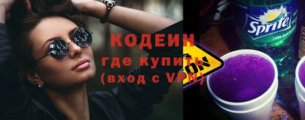 индика Беслан