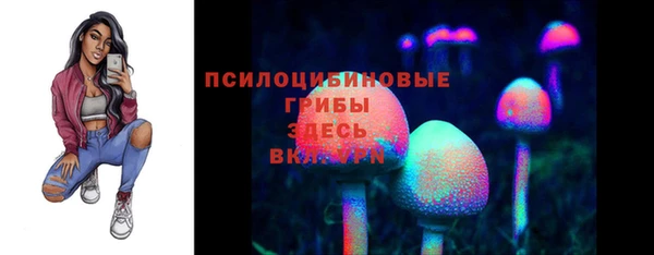 индика Беслан