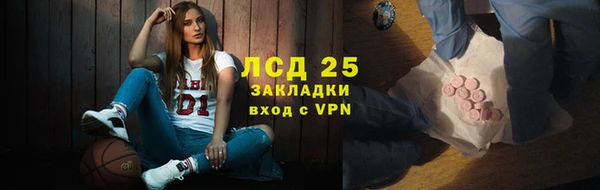 прущие грибы Каменногорск