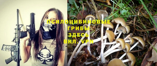 сатива Кинешма
