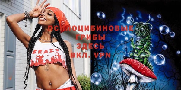 ГАЛЛЮЦИНОГЕННЫЕ ГРИБЫ Бикин