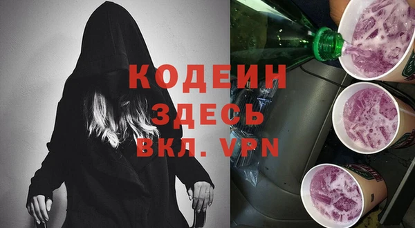 прущие грибы Каменногорск