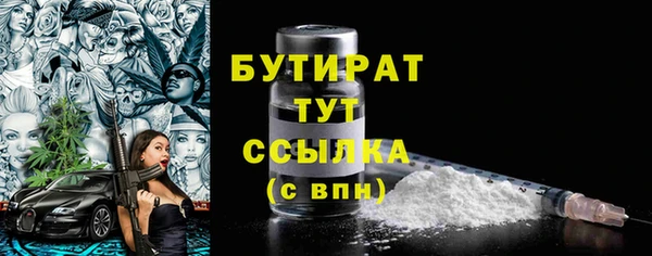 прущие грибы Каменногорск