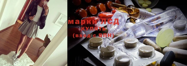 индика Беслан