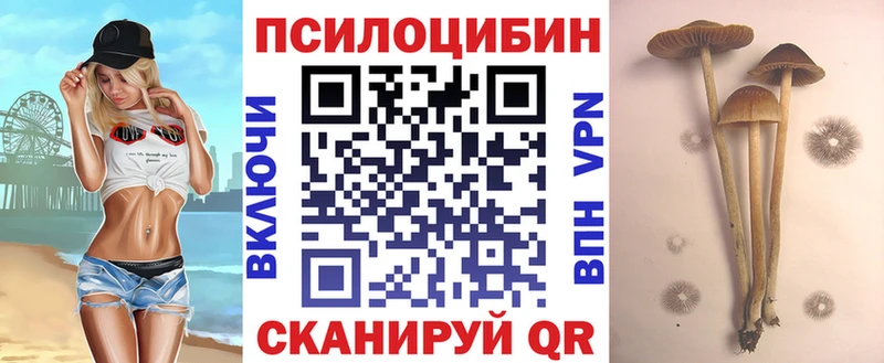 Галлюциногенные грибы Cubensis  Костерёво 